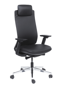 FAUTEUIL DIRECTION ALEXANDER